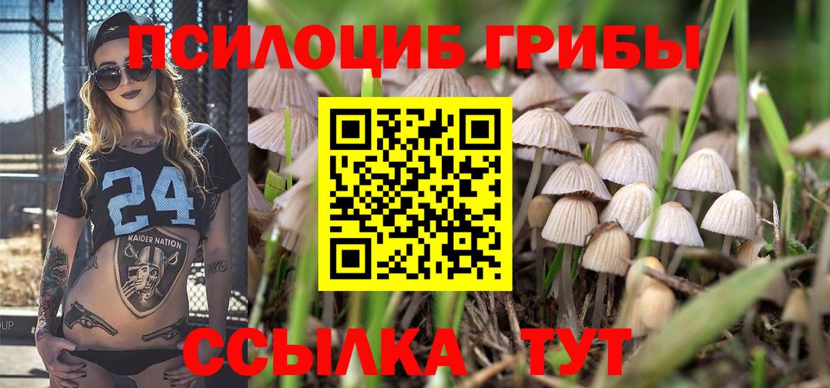 Псилоцибиновые грибы прущие грибы Кыштым
